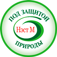 НЭСТ М